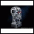 ABSOLUS74