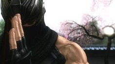 Ninja Gaiden 3