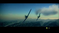 Birds of Steel