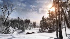 Assassin's Creed III