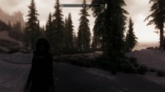 The Elder Scrolls V: Skyrim
