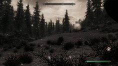 The Elder Scrolls V: Skyrim