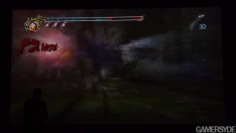 Ninja Gaiden 2