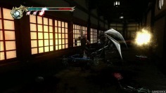 Ninja Gaiden 2