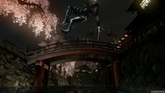 Ninja Gaiden 2
